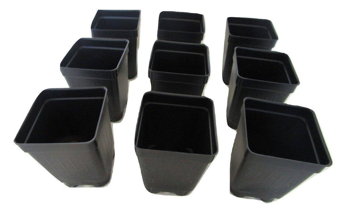2.5" Square Extra Deep Landmark Nursery Pots - Press Fit (100) - Product image 1